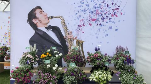 Les Flower Trials, c’est le moment de parler nouveautés pour les saisons à venir, mais les concepts marketing prennent de plus en plus de place, afin d’accompagner les nouveautés jusqu’au consommateur final. (c)Brand Wagenaar